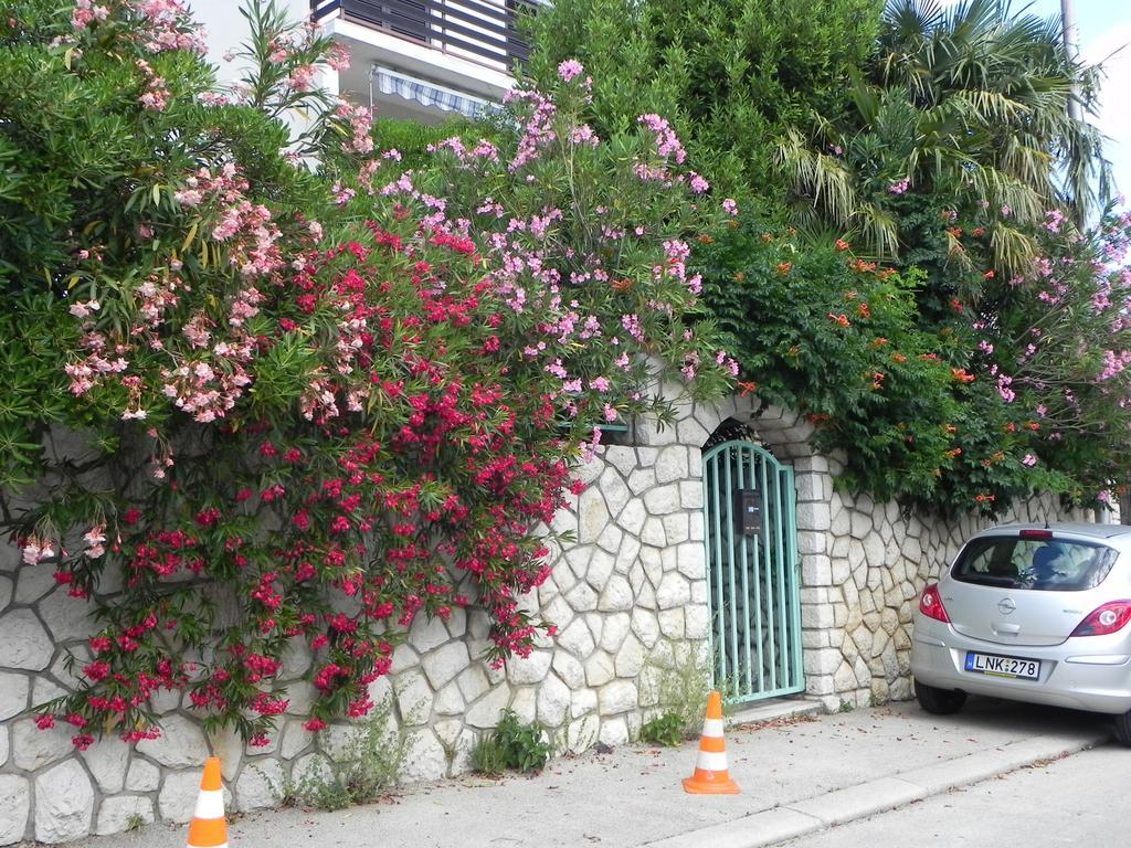 Apartments Katalenic セルツェ エクステリア 写真