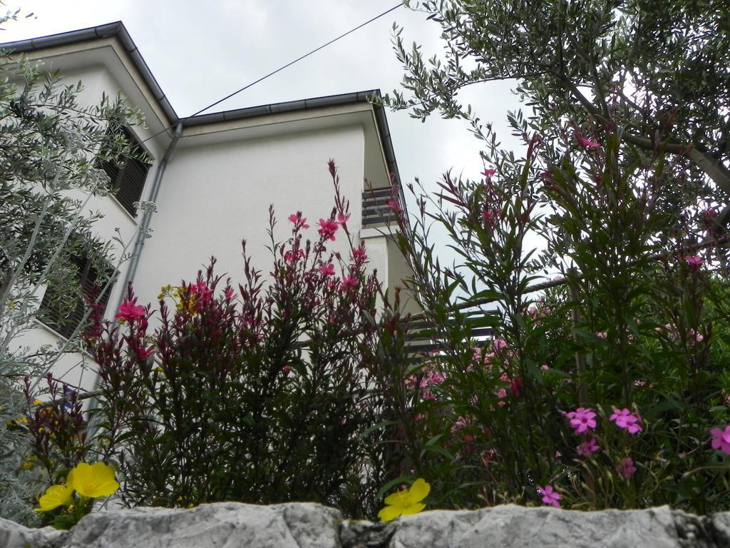 Apartments Katalenic セルツェ エクステリア 写真