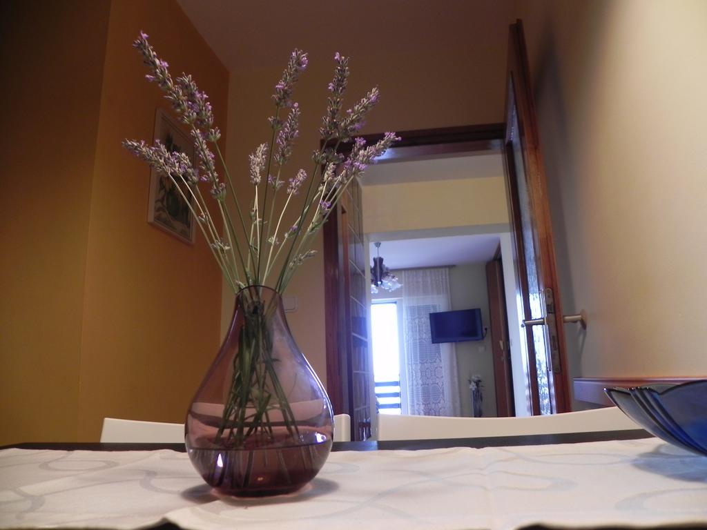 Apartments Katalenic セルツェ エクステリア 写真