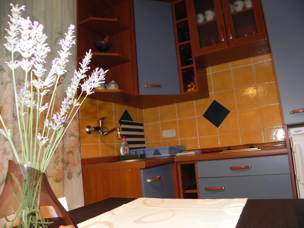 Apartments Katalenic セルツェ エクステリア 写真