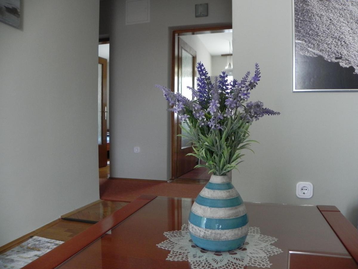 Apartments Katalenic セルツェ エクステリア 写真